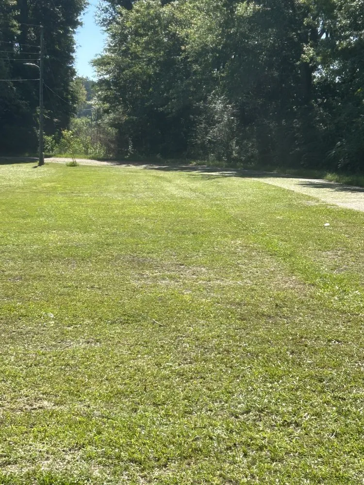 Top-rated outdoor landscaping for homes across Columbia, MS - Shannan’s Lawn Care