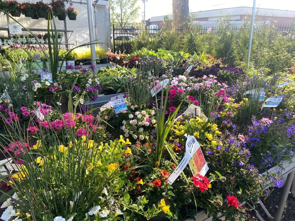 Trusted residential landscaping near you across Stratford, CT - Shannon Landscape & Garden Center