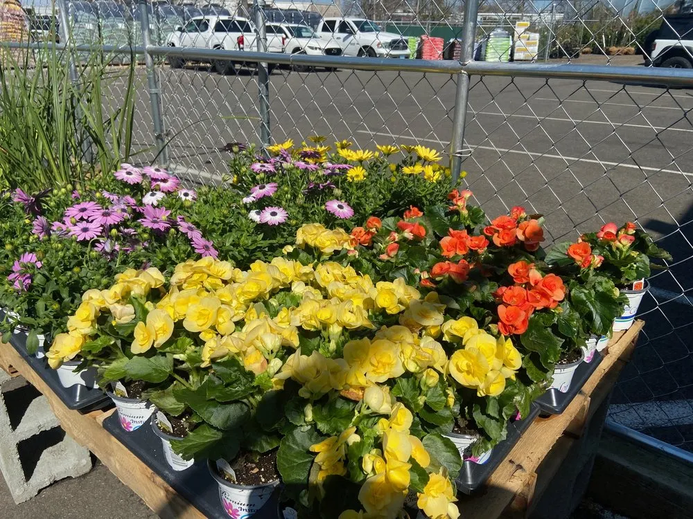 Expert landscaping services in Stratford, CT by Shannon Landscape & Garden Center