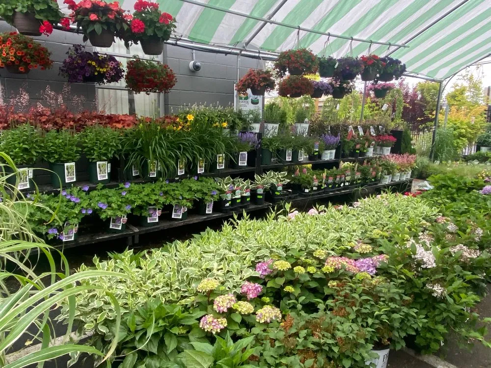 Expert lawn mowing service near you across Stratford, CT - Shannon Landscape & Garden Center