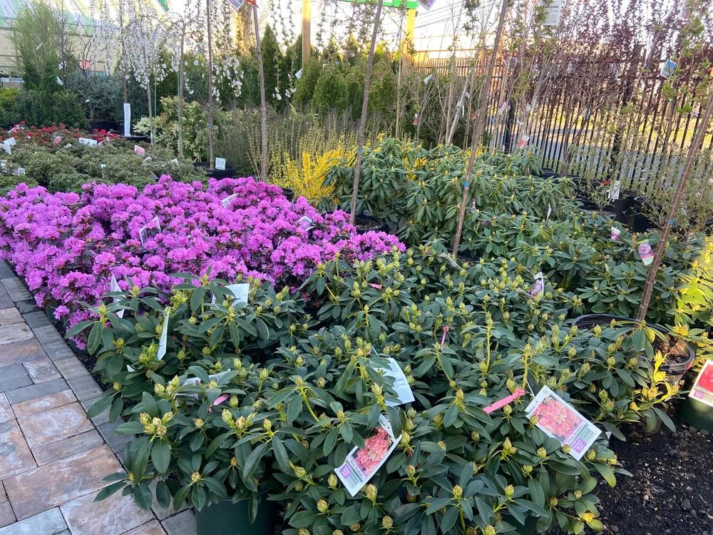 Affordable landscape installation for homes across Stratford, CT - Shannon Landscape & Garden Center