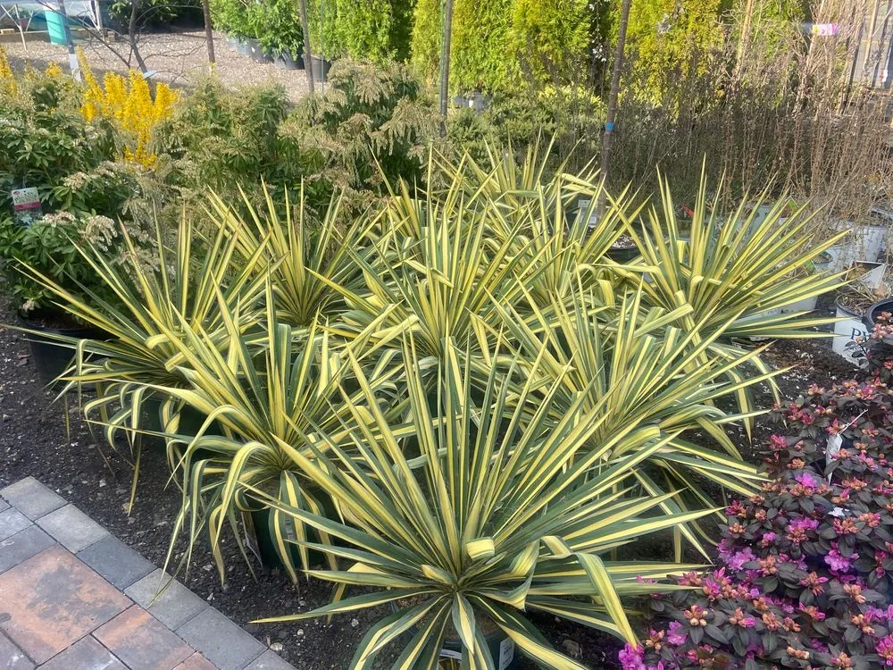 Trusted garden landscaping in Stratford, CT by Shannon Landscape & Garden Center