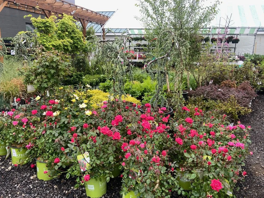 Expert outdoor landscaping in Stratford, CT - Shannon Landscape & Garden Center