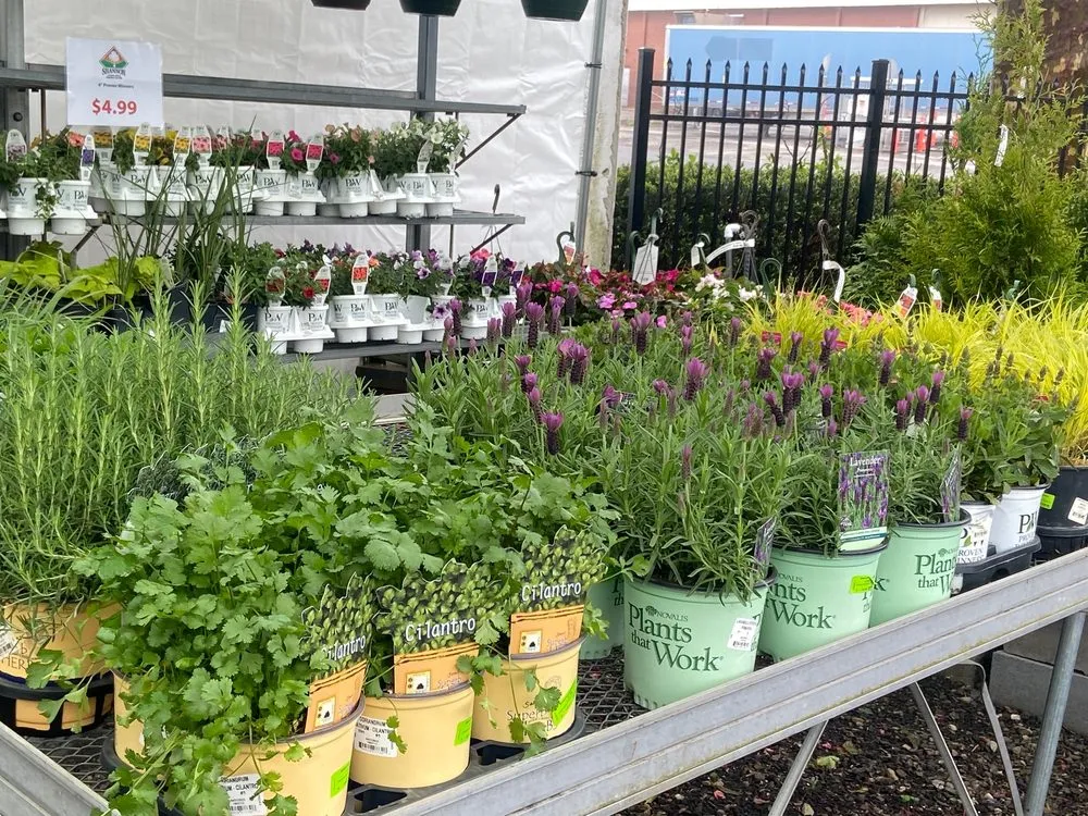 Expert landscaping services near you across Stratford, CT - Shannon Landscape & Garden Center