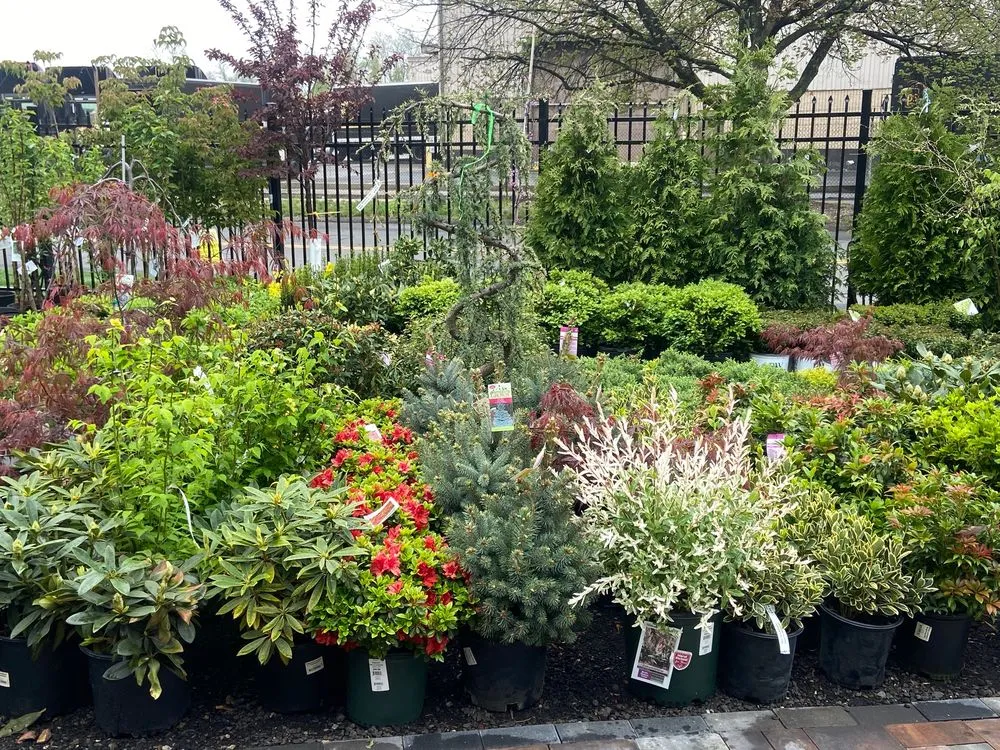 Custom landscape installation in Stratford, CT by Shannon Landscape & Garden Center