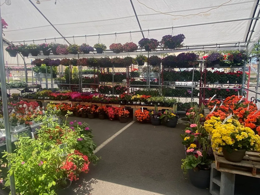 Professional lawn care service in Stratford, CT - Shannon Landscape & Garden Center