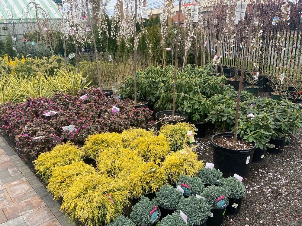 Local lawn care service in Stratford, CT by Shannon Landscape & Garden Center