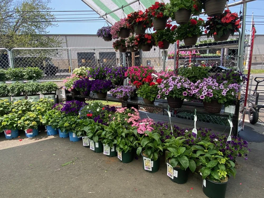Top-rated outdoor landscaping in Stratford, CT - Shannon Landscape & Garden Center