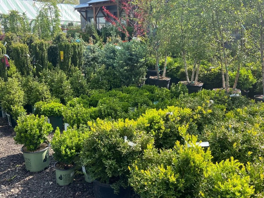 Local landscape installation for beautiful yards across Stratford, CT - Shannon Landscape & Garden Center