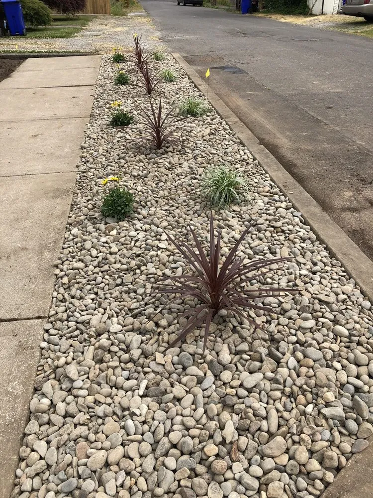 Top-rated yard cleanup service for residential properties in Clackamas, OR by Shannon Landscaping