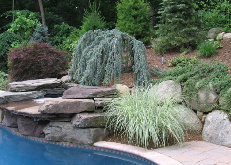 Trusted lawn mowing service near you in Stratford, CT by Shannon Lawn & Landscaping