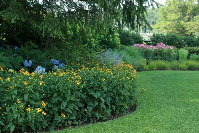 Affordable yard cleanup service for outdoor upgrades in Stratford, CT by Shannon Lawn & Landscaping