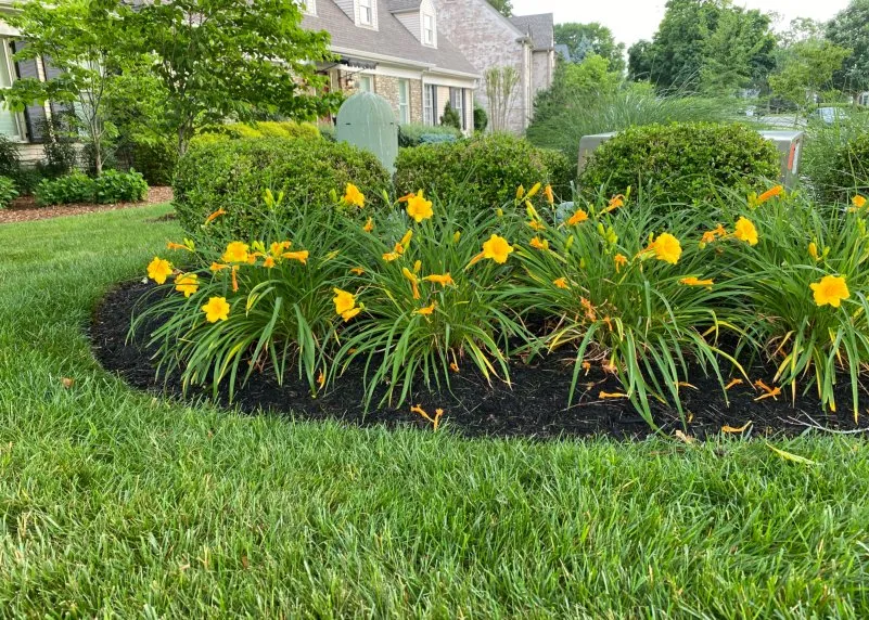 Affordable landscape design with custom design across Stratford, CT - Shannon Lawn & Landscaping
