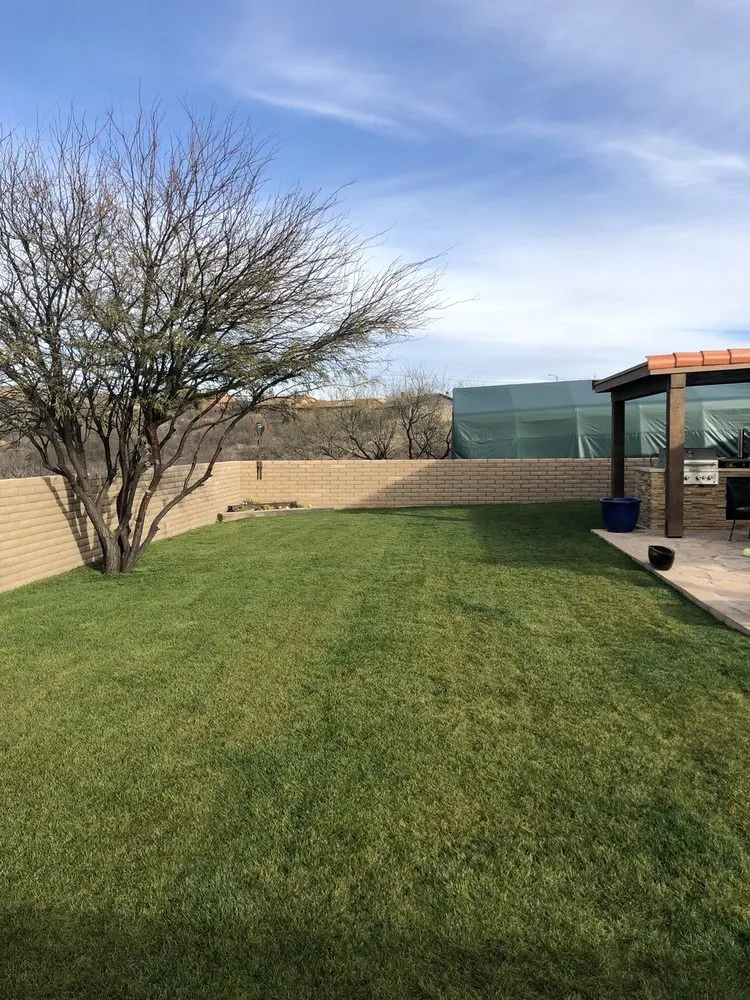 Reliable yard cleanup service near you across Tumacacori, AZ - Shannon’s Custom Landscape & Garden Design