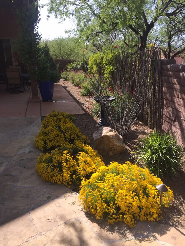 Affordable yard maintenance for beautiful yards across Tumacacori, AZ - Shannon’s Custom Landscape & Garden Design