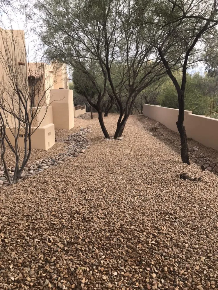 Expert landscaping services in Tumacacori, AZ - Shannon’s Custom Landscape & Garden Design