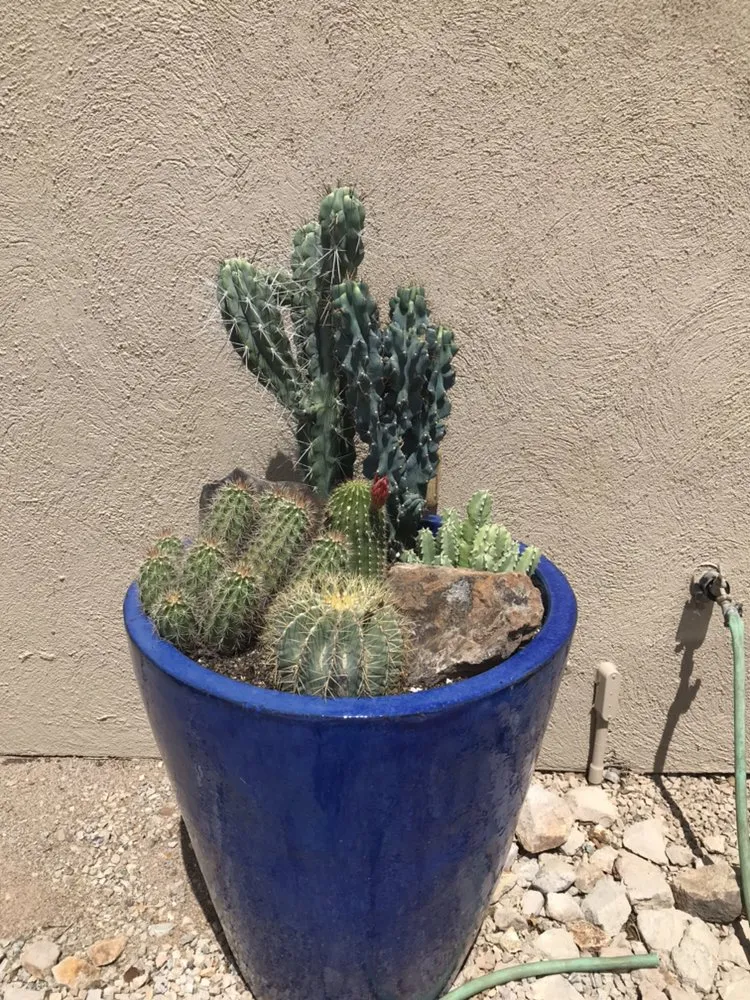 Custom outdoor landscaping in Tumacacori, AZ - Shannon’s Custom Landscape & Garden Design