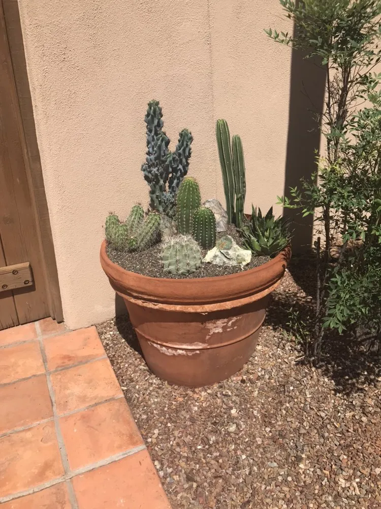 Trusted outdoor landscaping experts serving Tumacacori, AZ - Shannon’s Custom Landscape & Garden Design