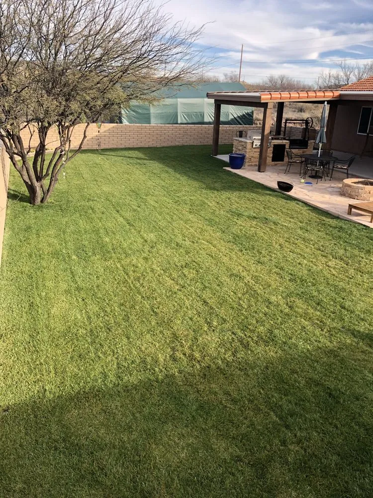 Custom landscape design in Tumacacori, AZ - Shannon’s Custom Landscape & Garden Design