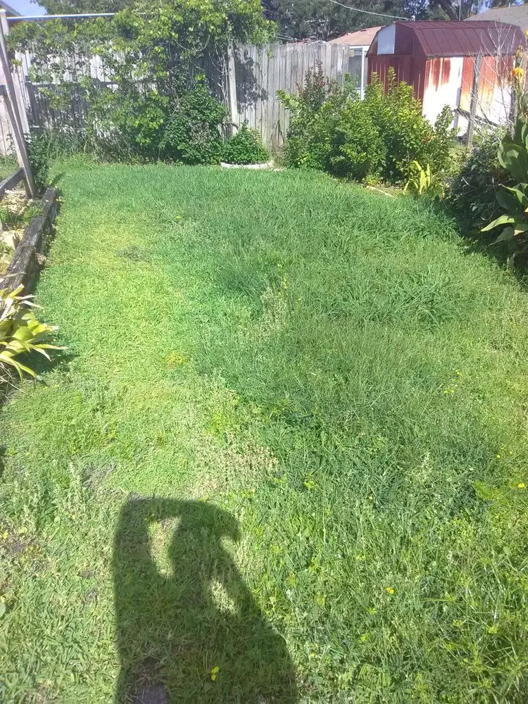 Trusted yard cleanup service for residential properties across Fort Meade, FL - Shannon's lawn care