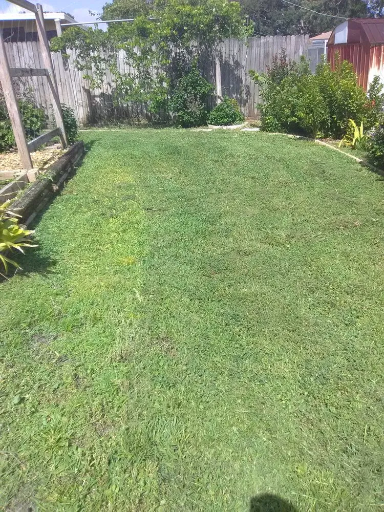 Top-rated landscaping services near you in Fort Meade, FL by Shannon's lawn care