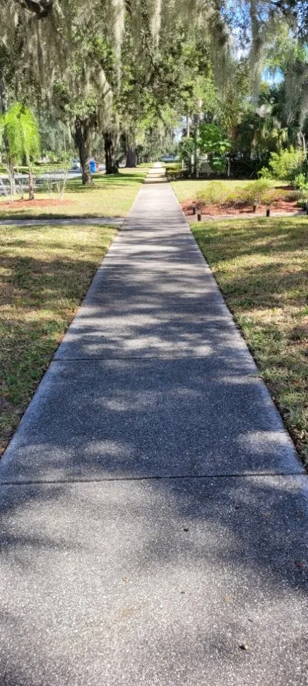 Top-rated yard cleanup service in Fort Meade, FL - Shannon's lawn care