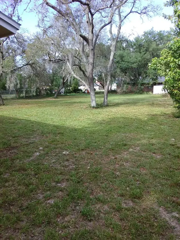 Top-rated outdoor landscaping for homes in Fort Meade, FL by Shannon's lawn care