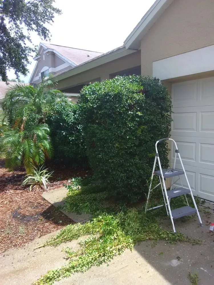 Affordable lawn care service in Fort Meade, FL by Shannon's lawn care