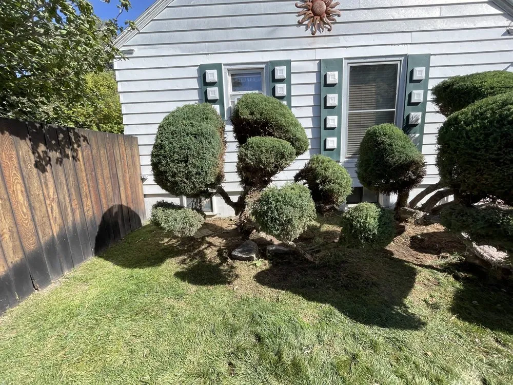 Top-rated outdoor landscaping experts serving Rexburg, ID - Shape Up