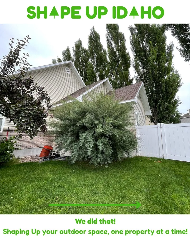 Professional landscaping services in Rexburg, ID - Shape Up