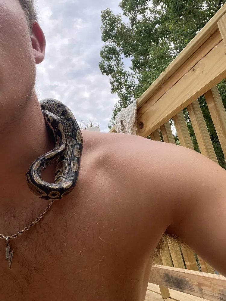 Reliable residential landscaping in Charleston, SC - Shaped Landscaping