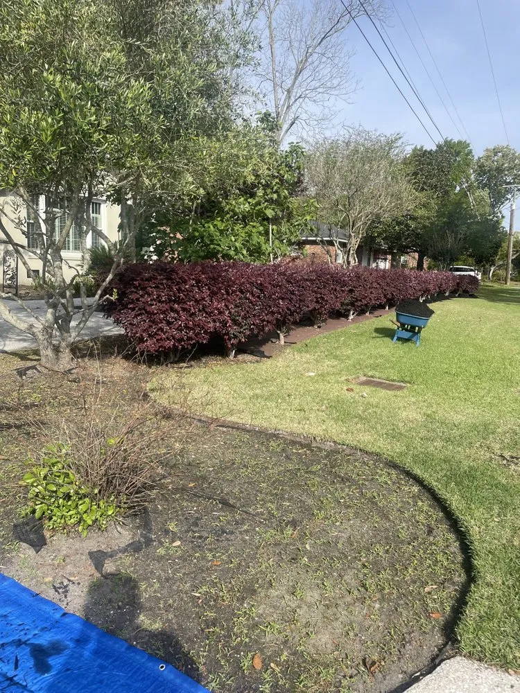 Reliable garden landscaping for residential properties in Charleston, SC by Shaped Landscaping