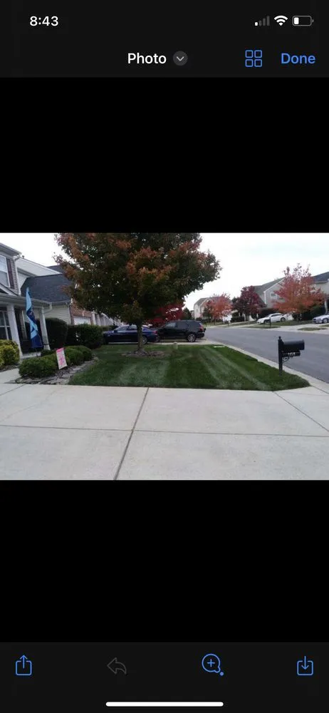 Professional yard cleanup service for beautiful yards in Charlotte, NC by Shapes and Lines Landscaping