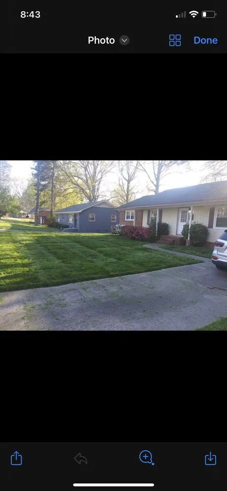 Custom yard maintenance in Charlotte, NC - Shapes and Lines Landscaping