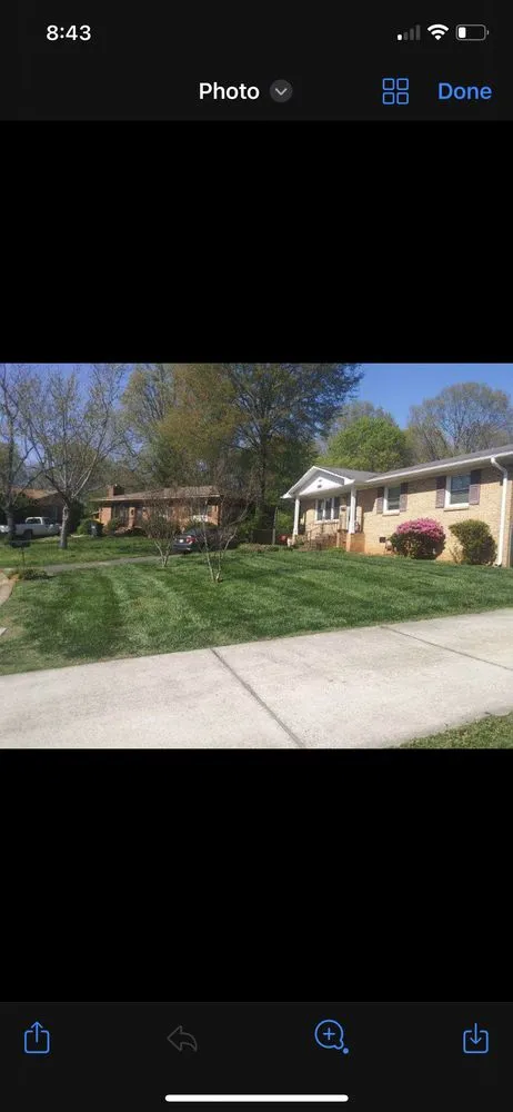 Local residential landscaping for year-round maintenance in Charlotte, NC by Shapes and Lines Landscaping