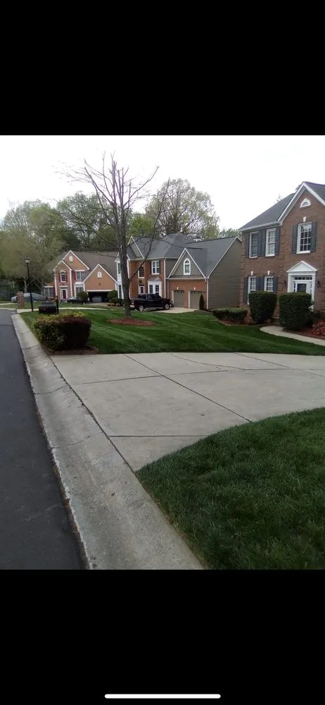 Affordable yard cleanup service experts serving Charlotte, NC - Shapes and Lines Landscaping