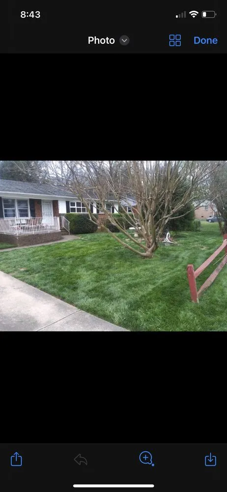 Expert landscape installation experts serving Charlotte, NC - Shapes and Lines Landscaping