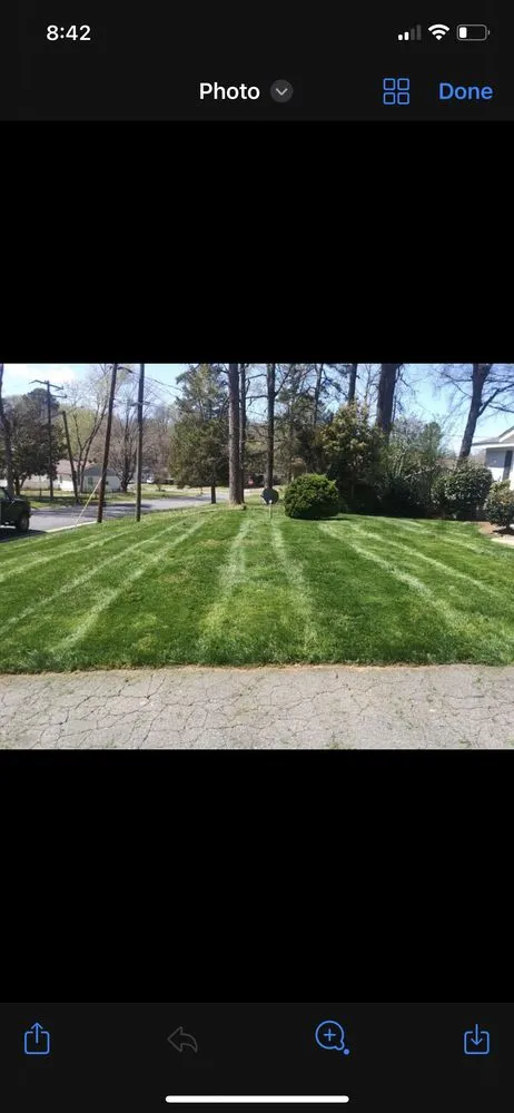 Custom yard maintenance for beautiful yards across Charlotte, NC - Shapes and Lines Landscaping