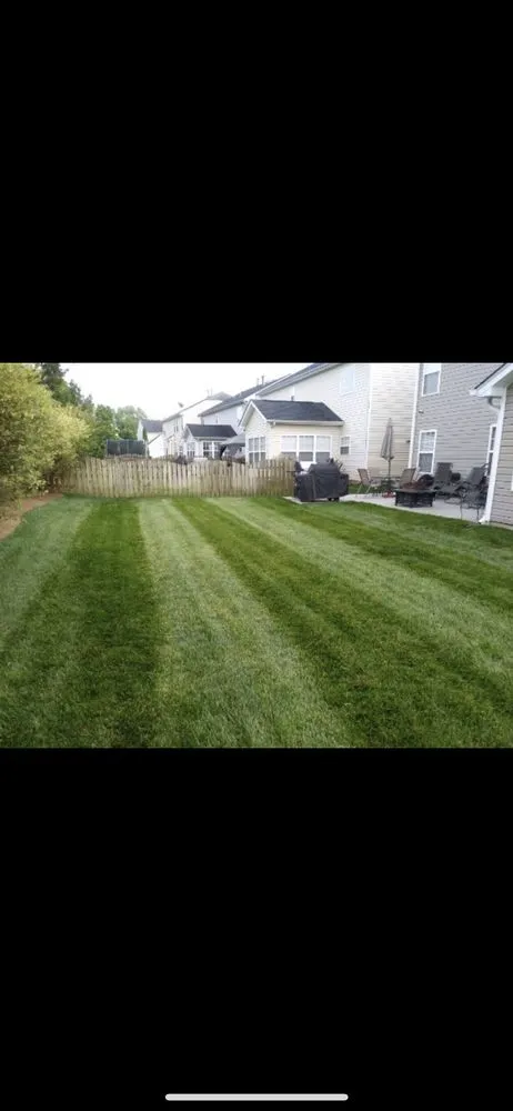 Trusted yard cleanup service for year-round maintenance across Charlotte, NC - Shapes and Lines Landscaping