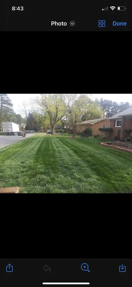 Trusted landscape installation experts serving Charlotte, NC - Shapes and Lines Landscaping