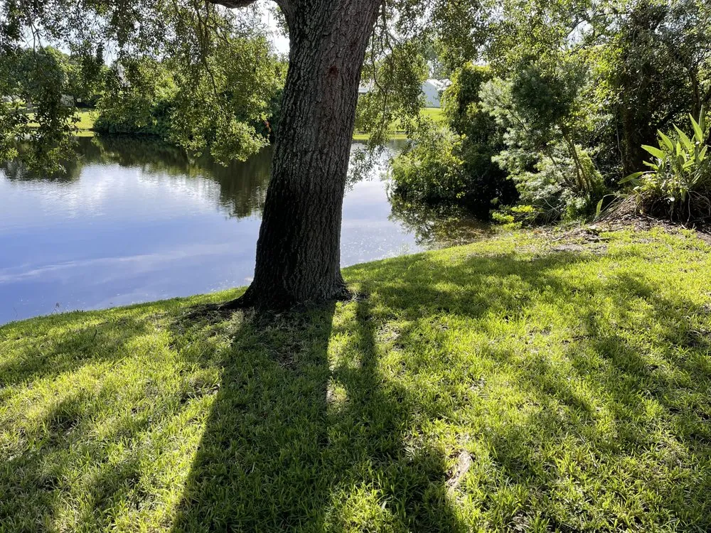 Trusted landscaping services near you across Melbourne, FL - Shark Landscaping