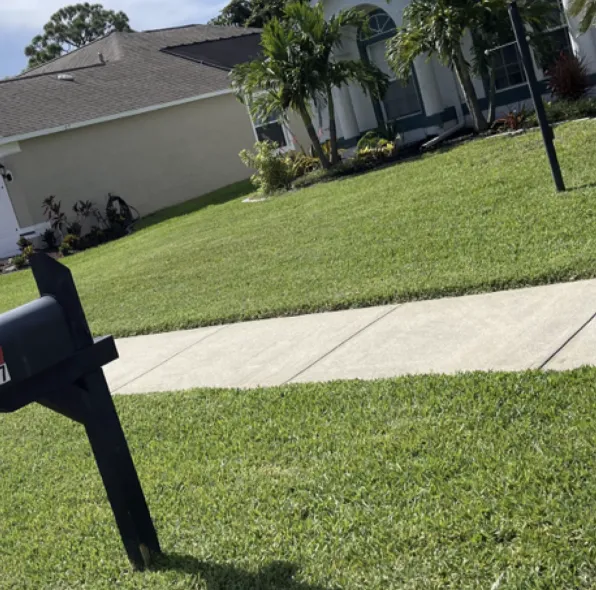 Top-rated landscape installation in Melbourne, FL - Shark Landscaping