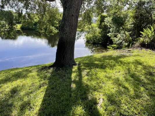 Shark Landscaping Logo