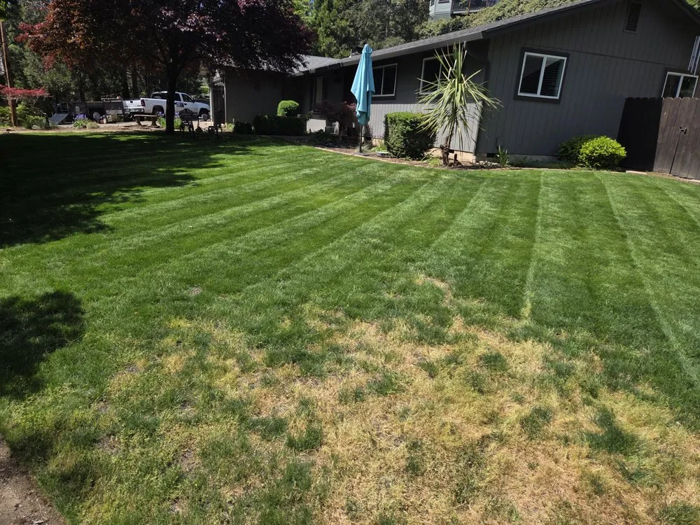 Expert landscape design for beautiful yards across central point, OR - Sharkbait and Sons