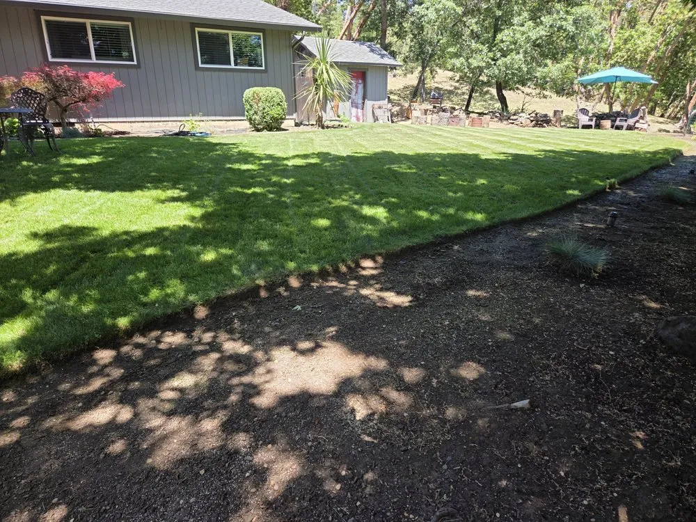 Expert lawn care service in central point, OR by Sharkbait and Sons