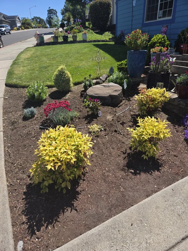 Local yard cleanup service with custom design in central point, OR by Sharkbait and Sons