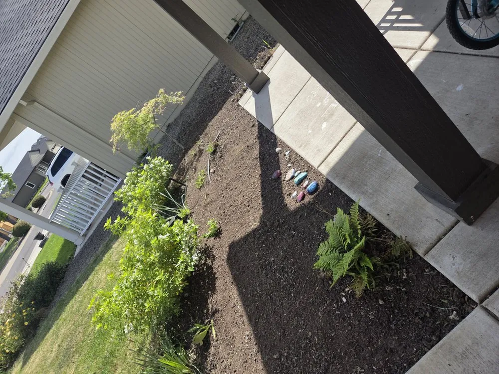 Local lawn mowing service experts serving central point, OR - Sharkbait and Sons