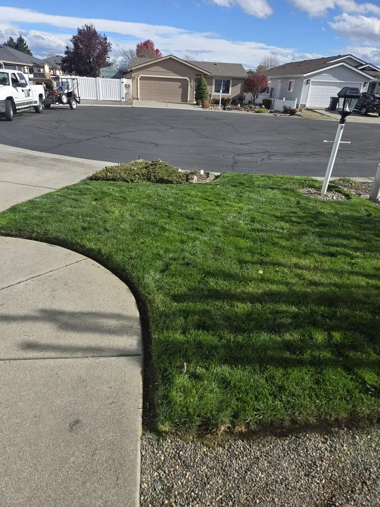 Custom yard cleanup service for outdoor upgrades across central point, OR - Sharkbait and Sons