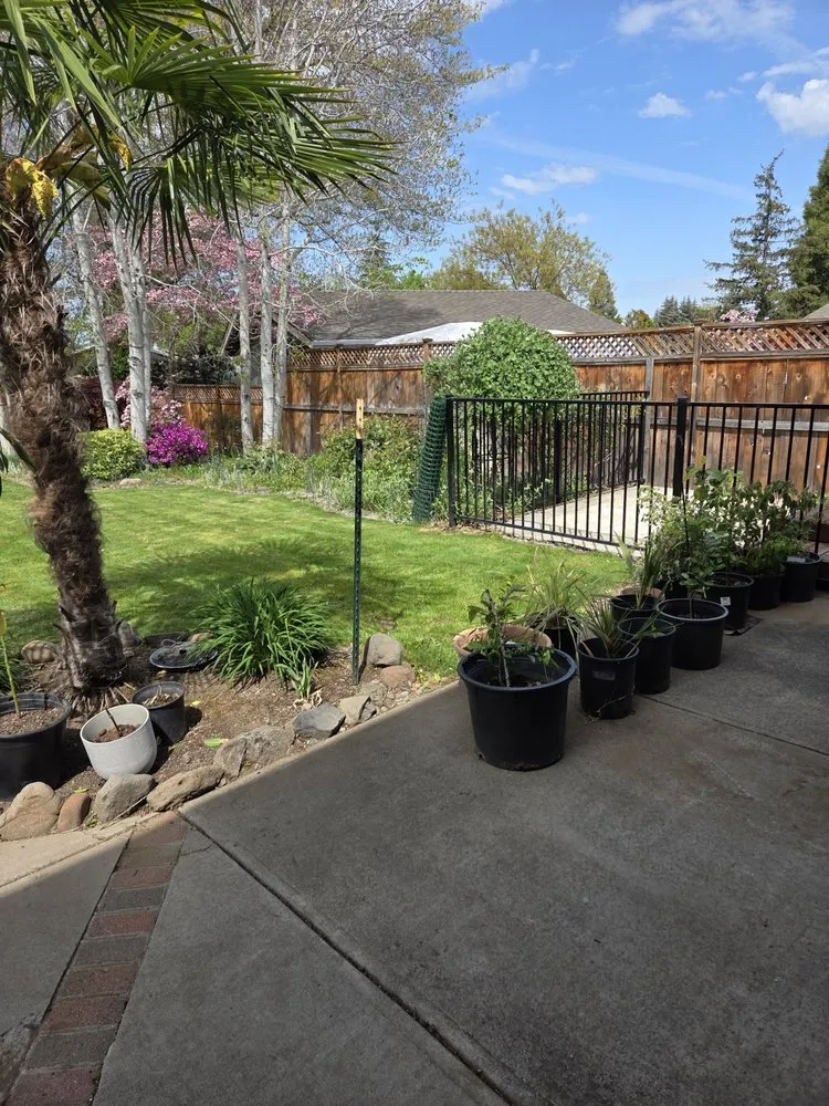 Professional garden landscaping experts serving central point, OR - Sharkbait and Sons