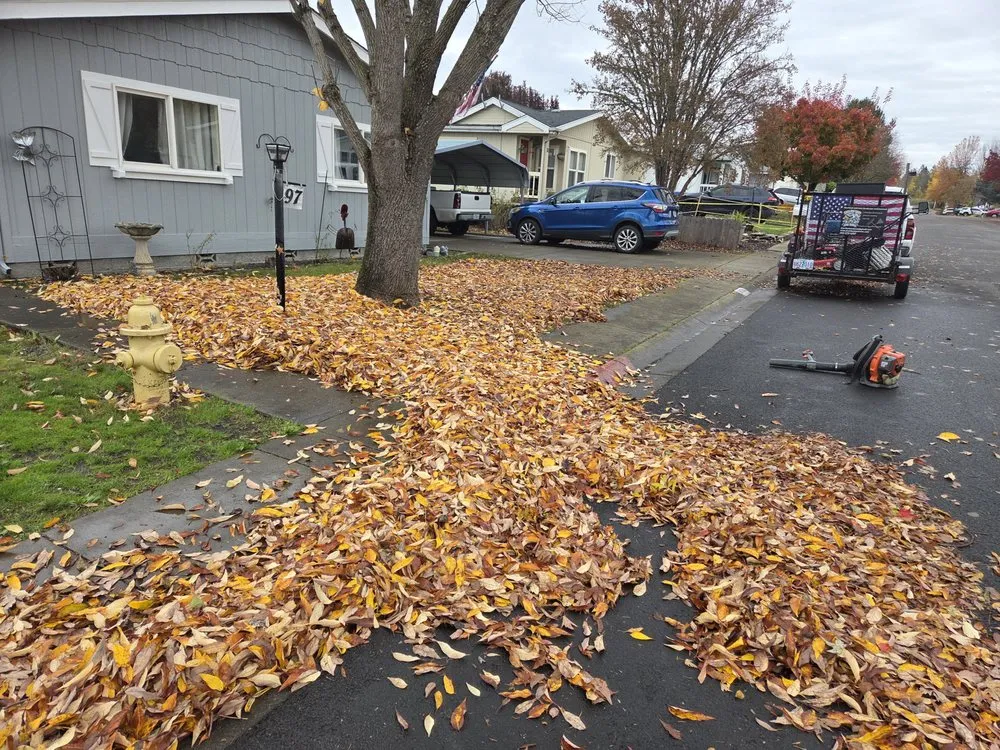 Local outdoor landscaping for year-round maintenance in central point, OR by Sharkbait and Sons